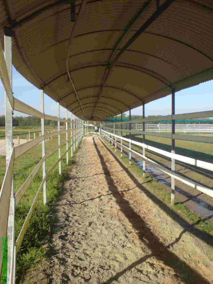 Marcheur Ovale Speed Horse Training jusqu'à 30 chevaux