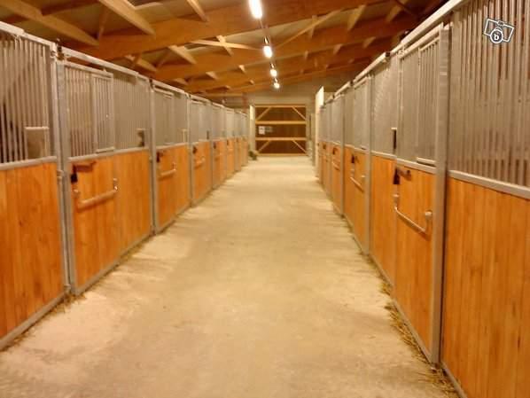 PENSION PONEY ET CHEVAUX  A 15 MN REIMS DANS LE 08