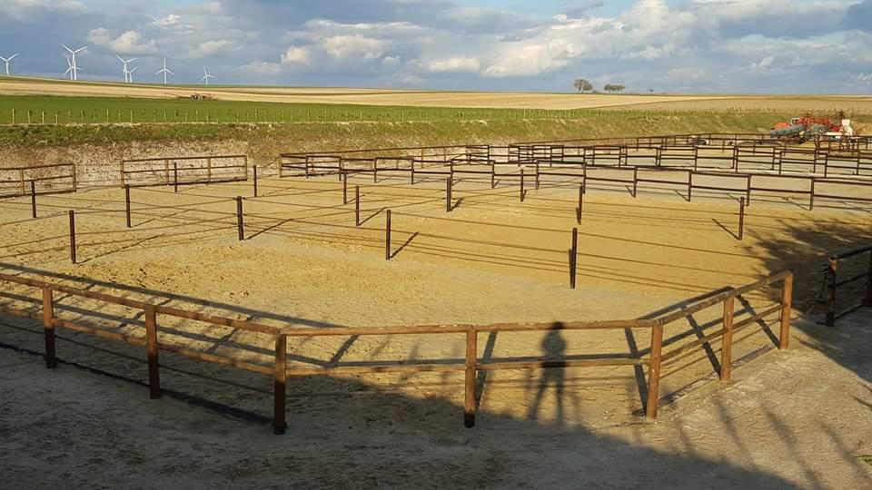 PENSION PONEY ET CHEVAUX  A 15 MN REIMS DANS LE 08