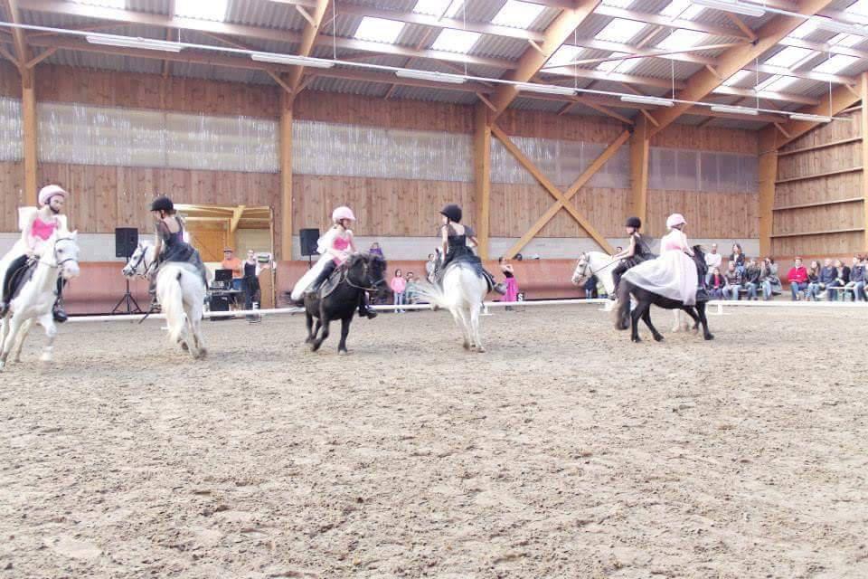 PENSION PONEY ET CHEVAUX  A 15 MN REIMS DANS LE 08