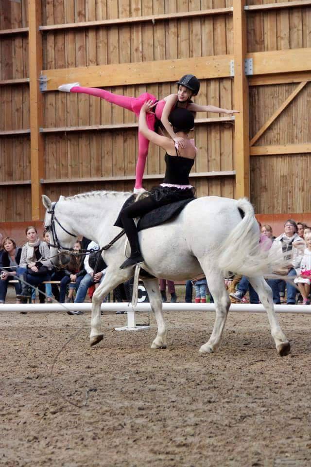 PENSION PONEY ET CHEVAUX  A 15 MN REIMS DANS LE 08