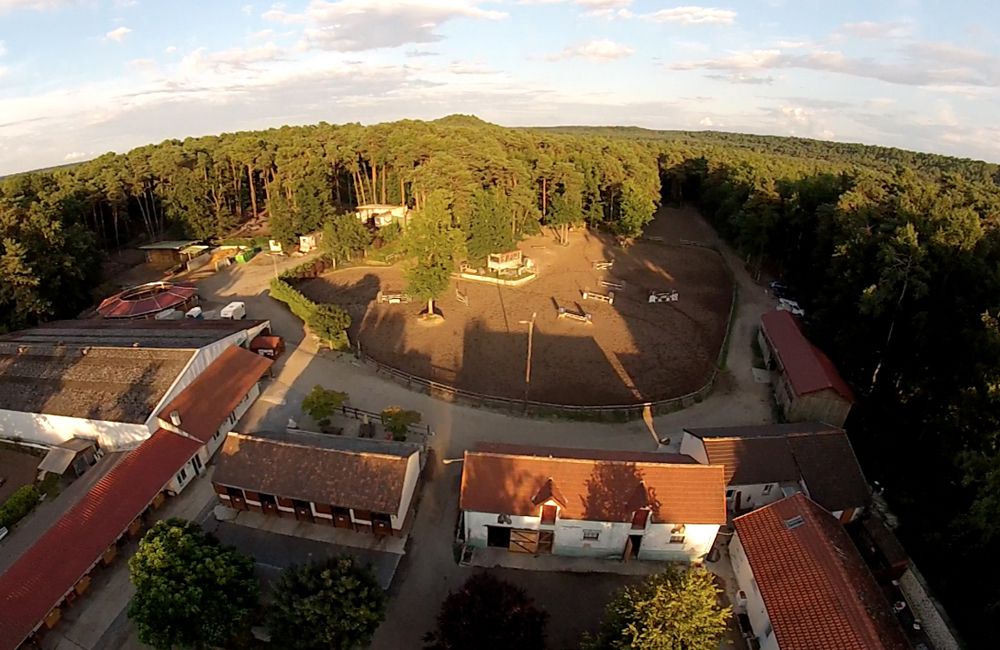 Pension chevaux Fontainebleau Arbonne Équitation