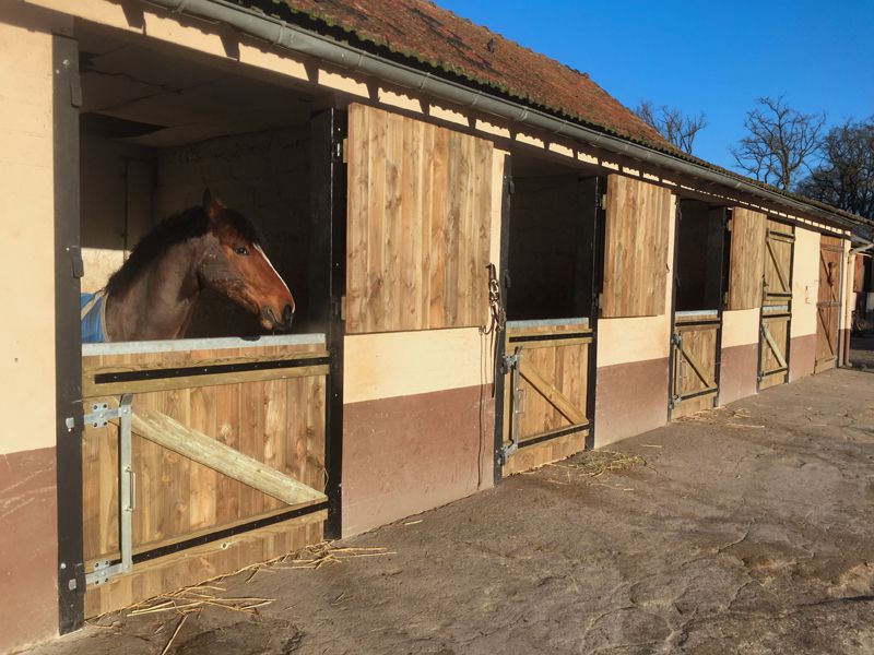 Pension chevaux Fontainebleau Arbonne Équitation