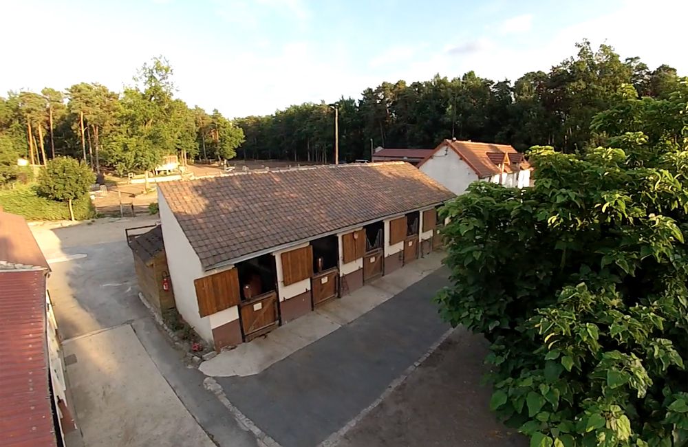 Pension chevaux Fontainebleau Arbonne Équitation