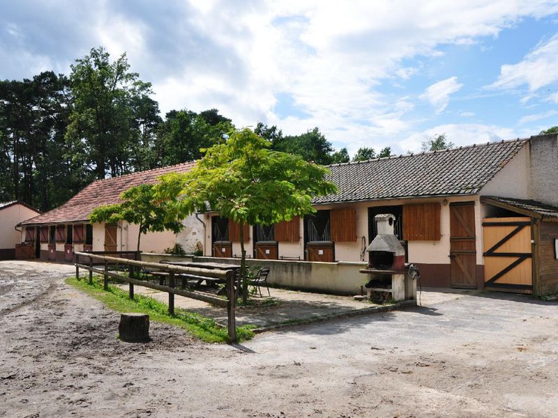 Pension chevaux Fontainebleau Arbonne Équitation