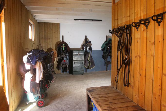 Pension chevaux Fontainebleau Arbonne Équitation