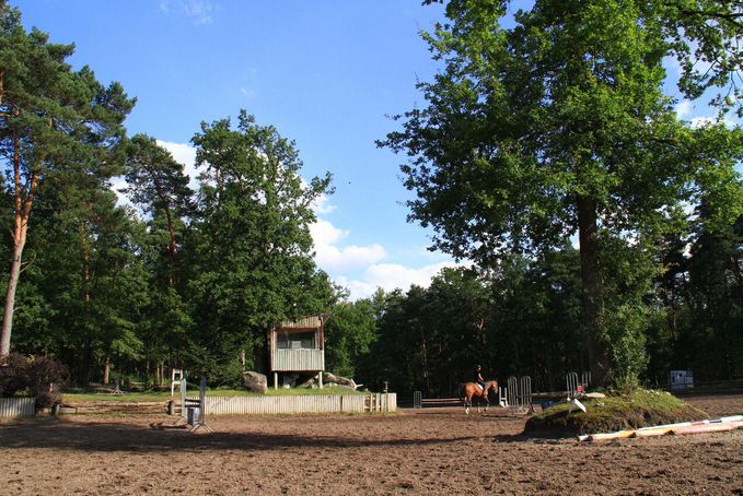 Pension chevaux Fontainebleau Arbonne Équitation