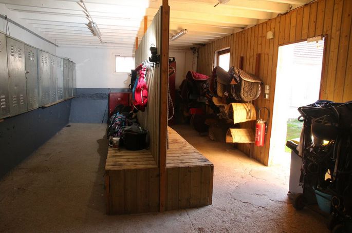 Pension chevaux Fontainebleau Arbonne Équitation