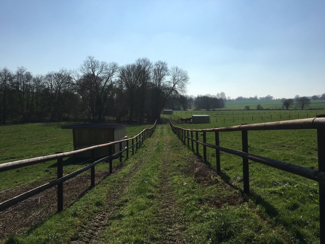 HARAS DE CHAMPFLEURY - Pension de chevaux