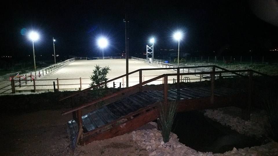 Pension pour chevaux/Ecurie de propri&eacute;taires 34800