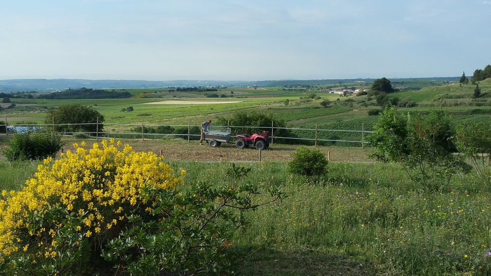 Pension pour chevaux/Ecurie de propri&eacute;taires 34800