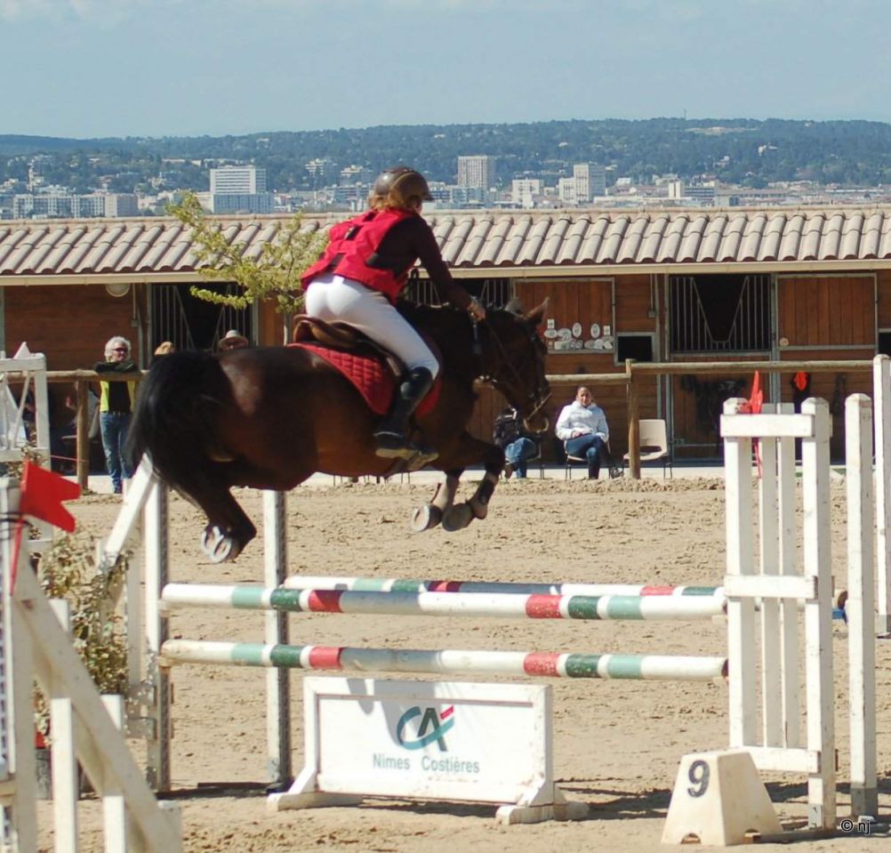 Bon potentiel sportif et excellentes origines