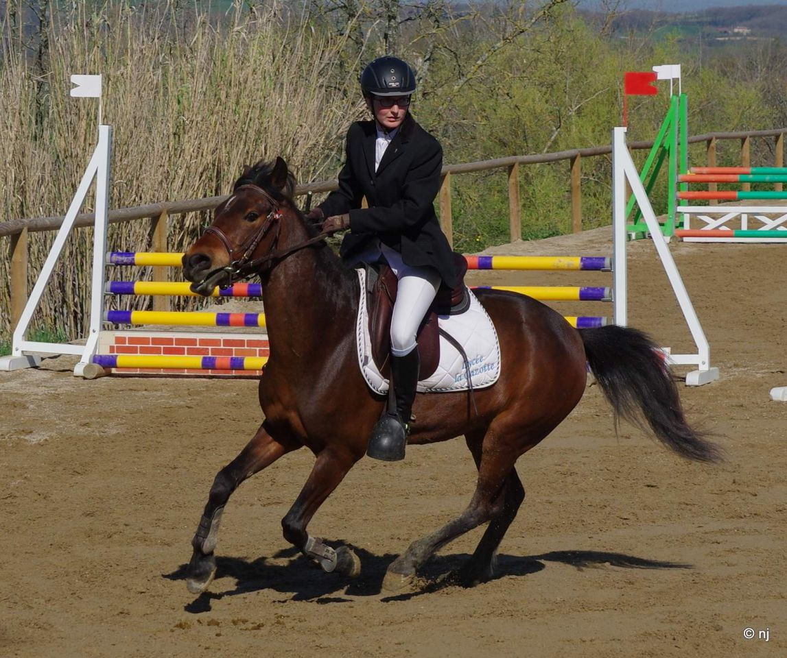 Bon potentiel sportif et excellentes origines