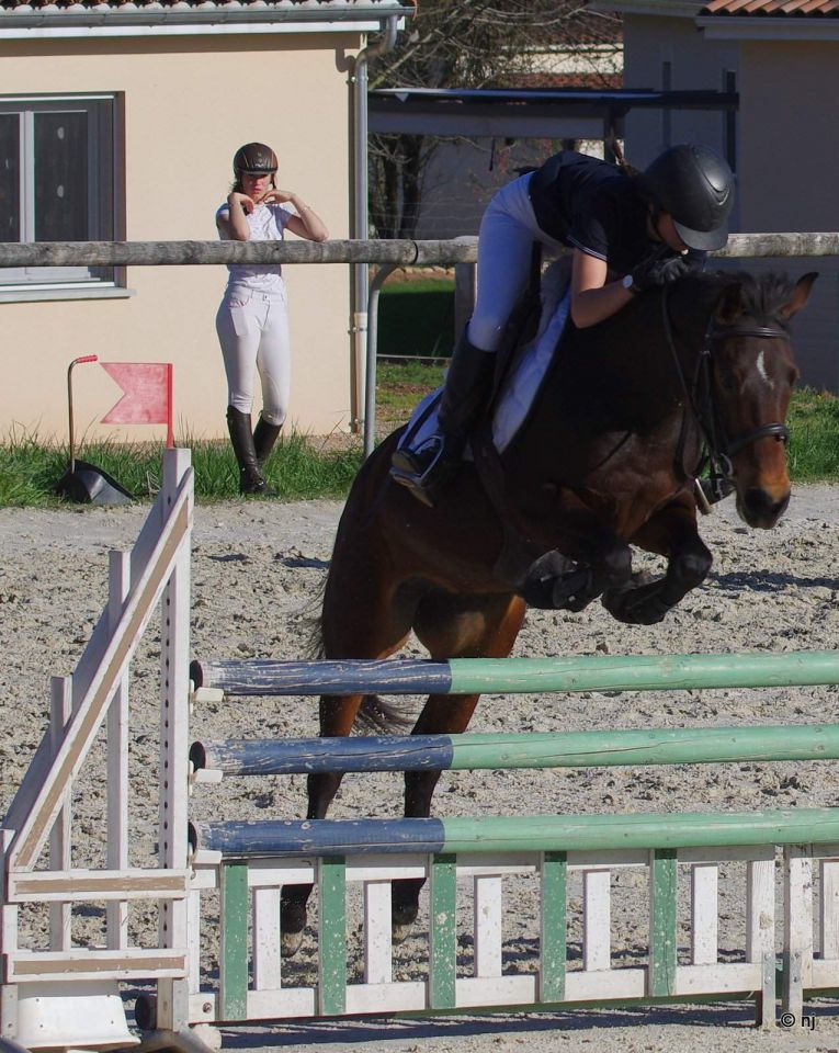 Bon potentiel sportif et excellentes origines