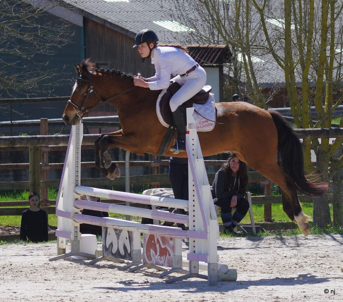 Très bon coup de saut, du potentiel