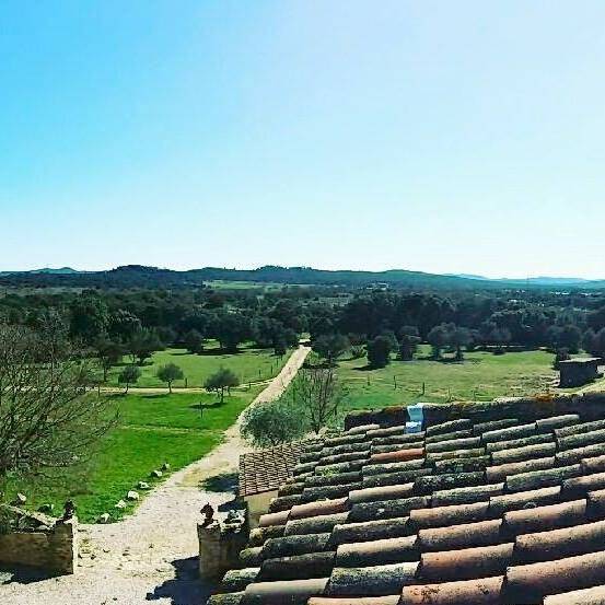 Pension pour chevaux