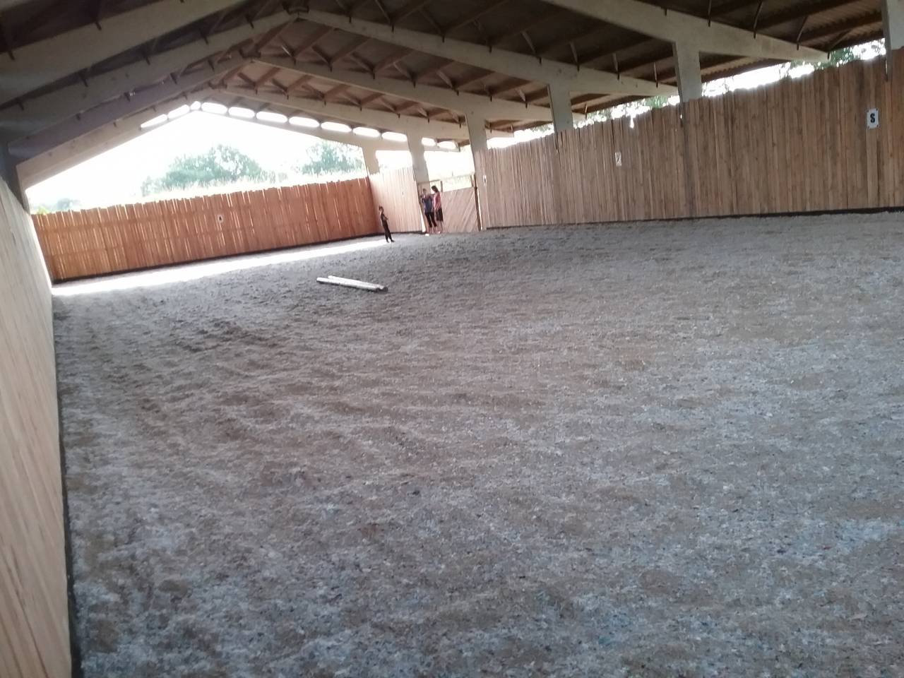 Pension pr&eacute; ou pr&eacute; box poney chevaux poulain