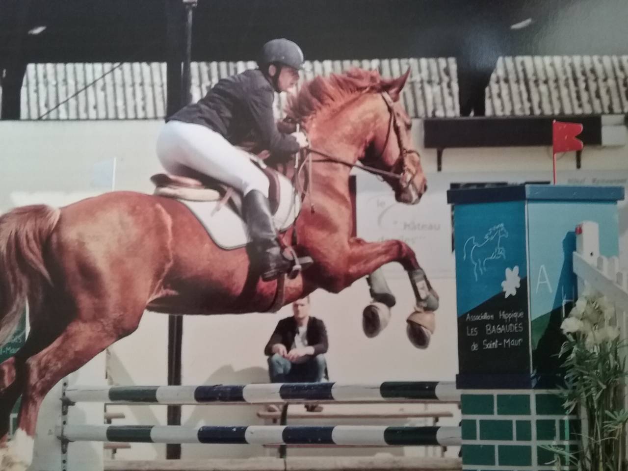 Pension pr&eacute; ou pr&eacute; box poney chevaux poulain