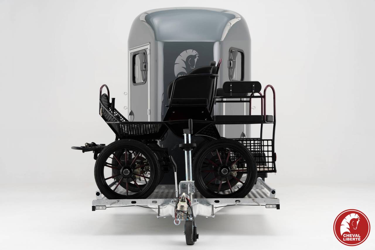 VAN MARATHON CHEVAL LIBERTE PORTE CALECHE