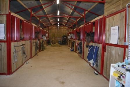 ECURIE DES 2 PONTS - Pension et valorisation chevaux