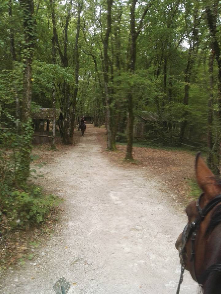 ECURIE DE PROPRIETAIRES