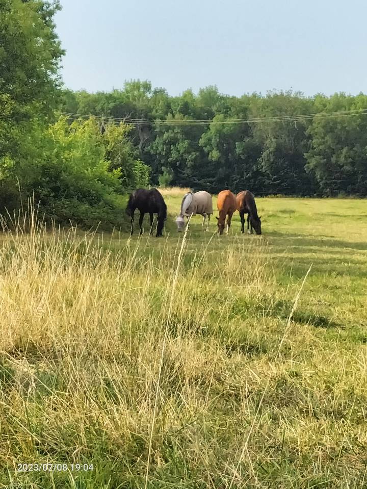 ECURIE DE PROPRIETAIRES