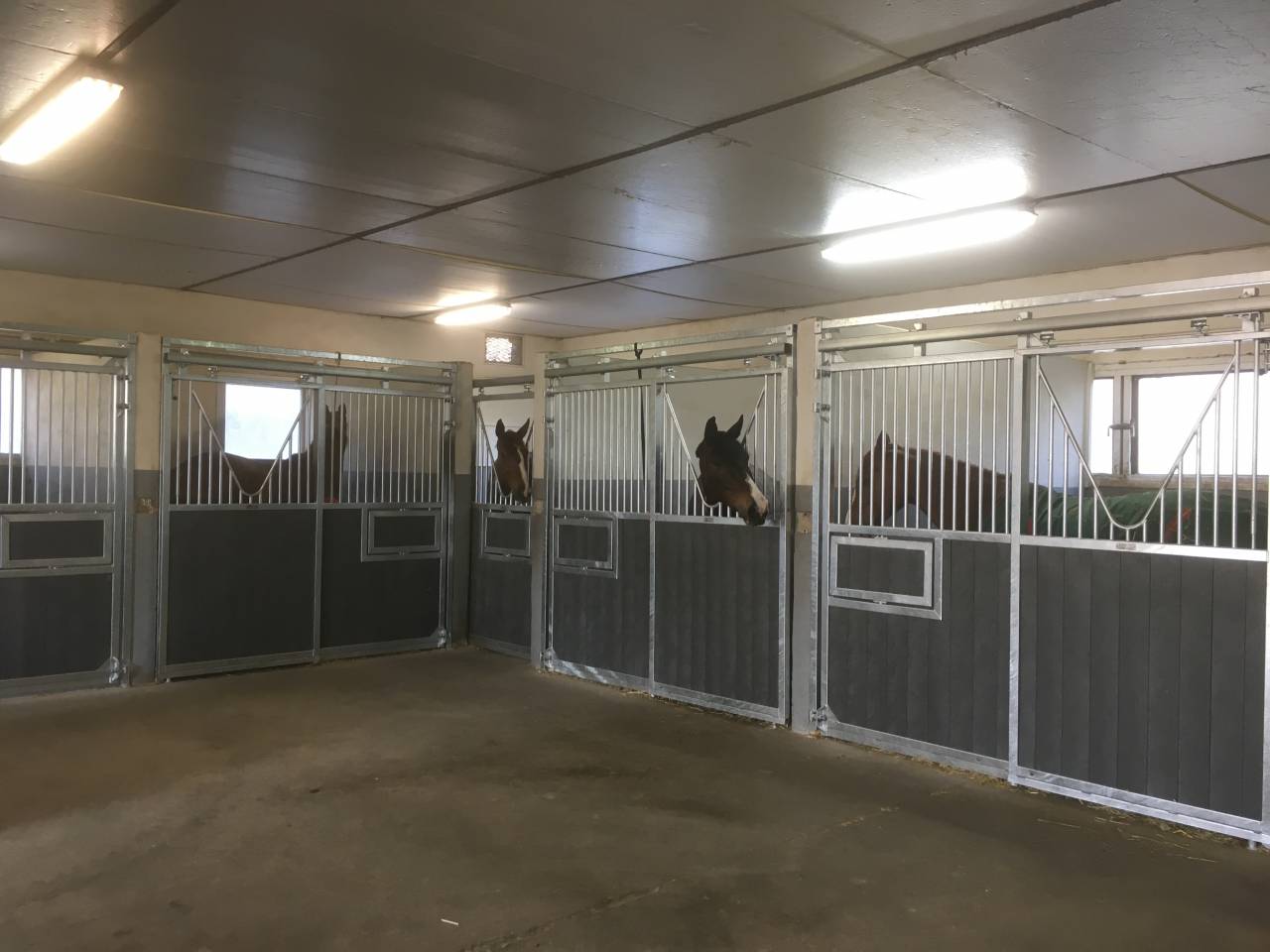 Pensions de chevaux - Ecuries du VARAIN (21)