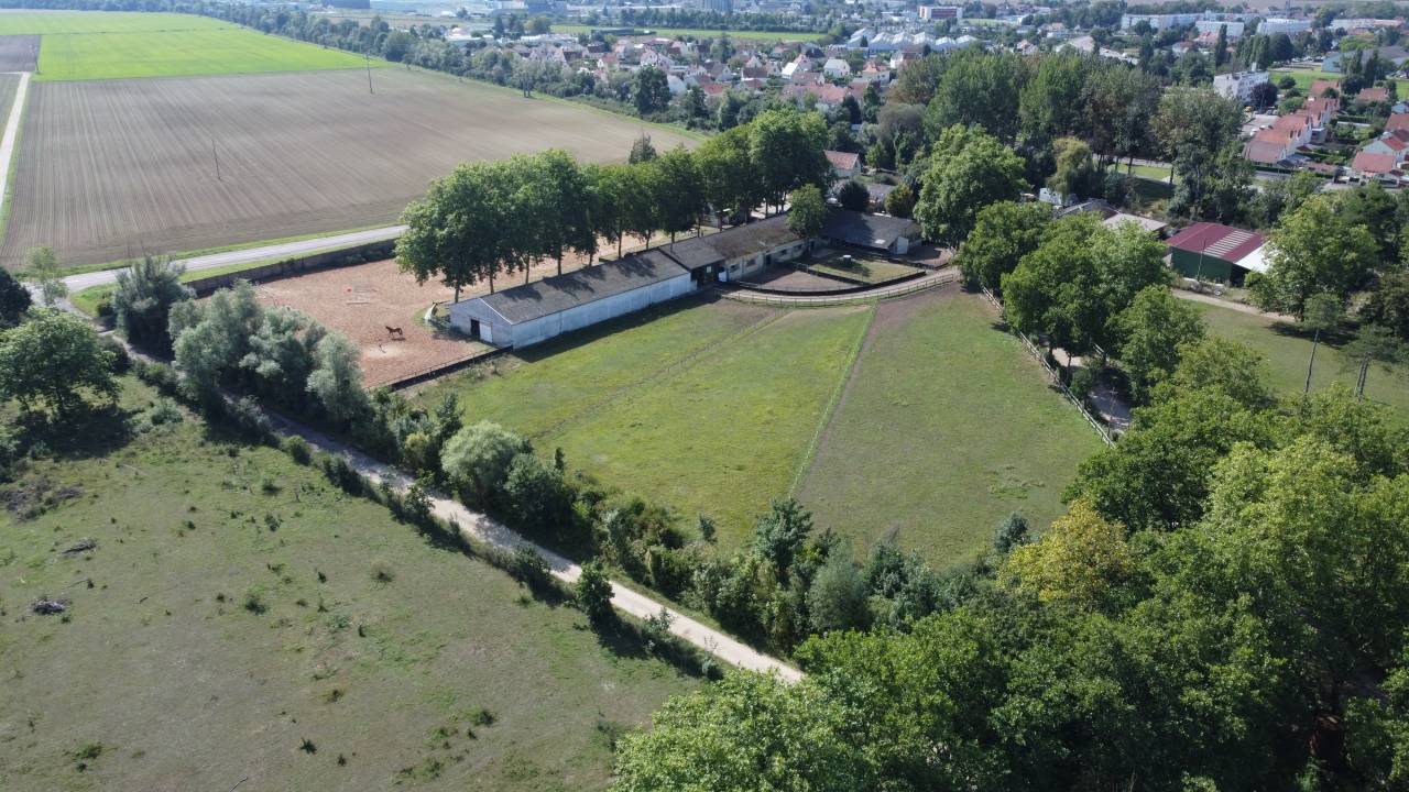 Pensions de chevaux - Ecuries du VARAIN (21)