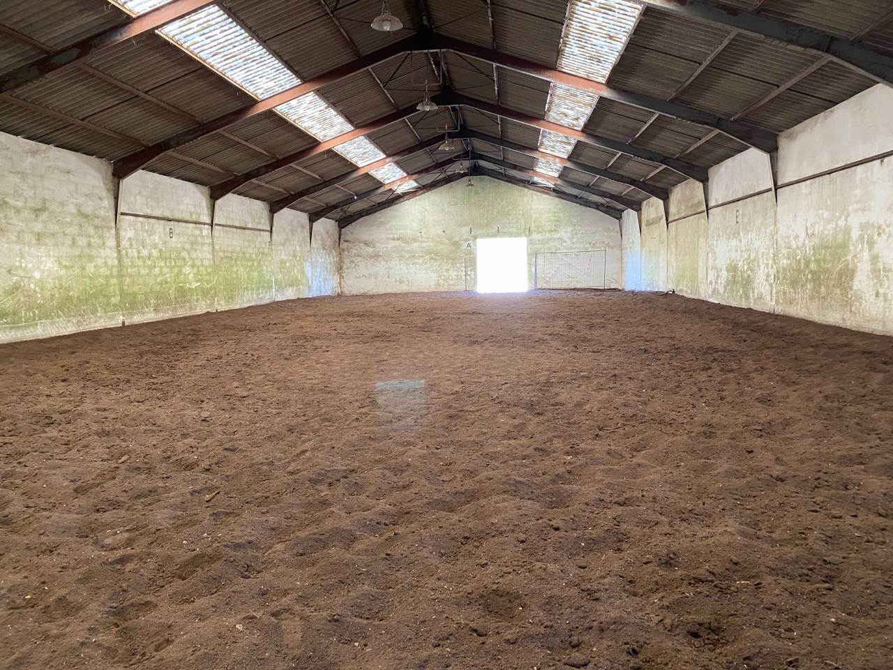 Pensions de chevaux - Ecuries du VARAIN (21)