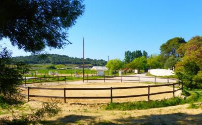 Pensions - Ecurie du Mas de Gentil By 2T Jump