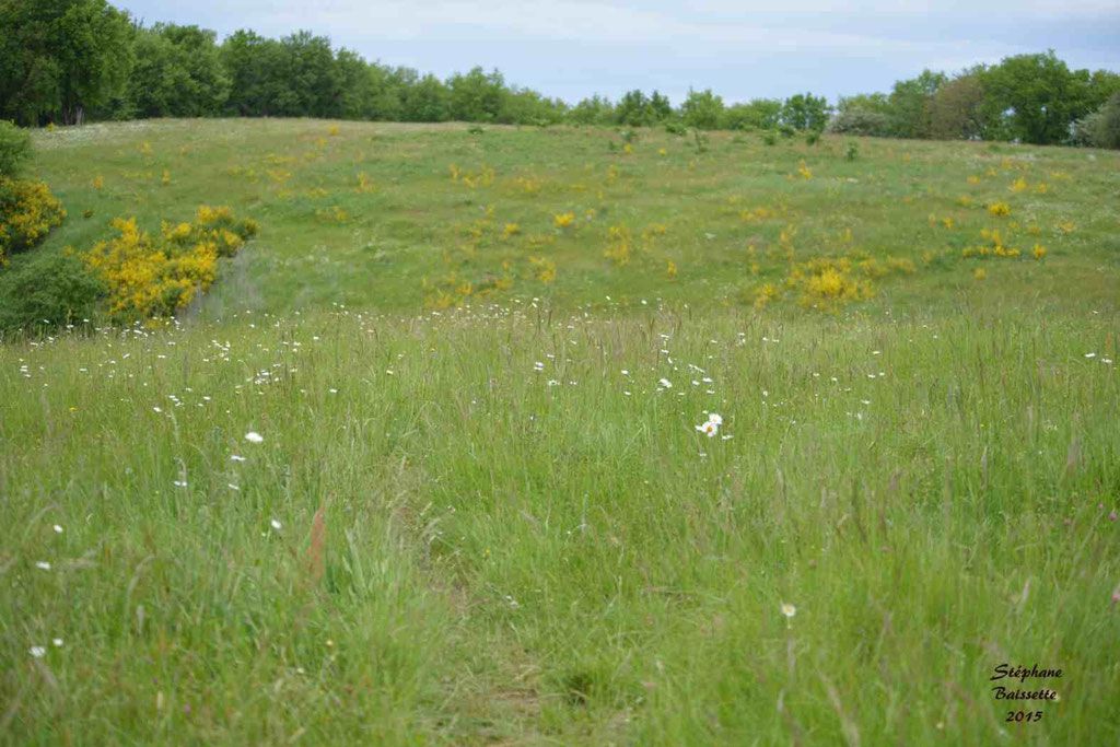 Pension dans &eacute;levage 