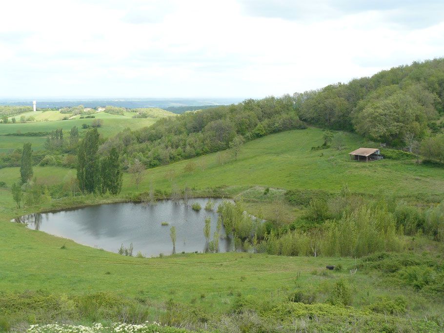 Pension dans &eacute;levage 