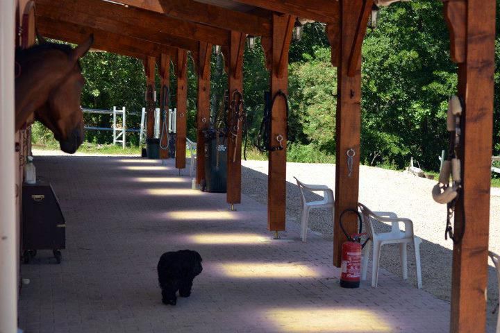 Ecurie privée 40 min de Lyon - cadre exceptionnel