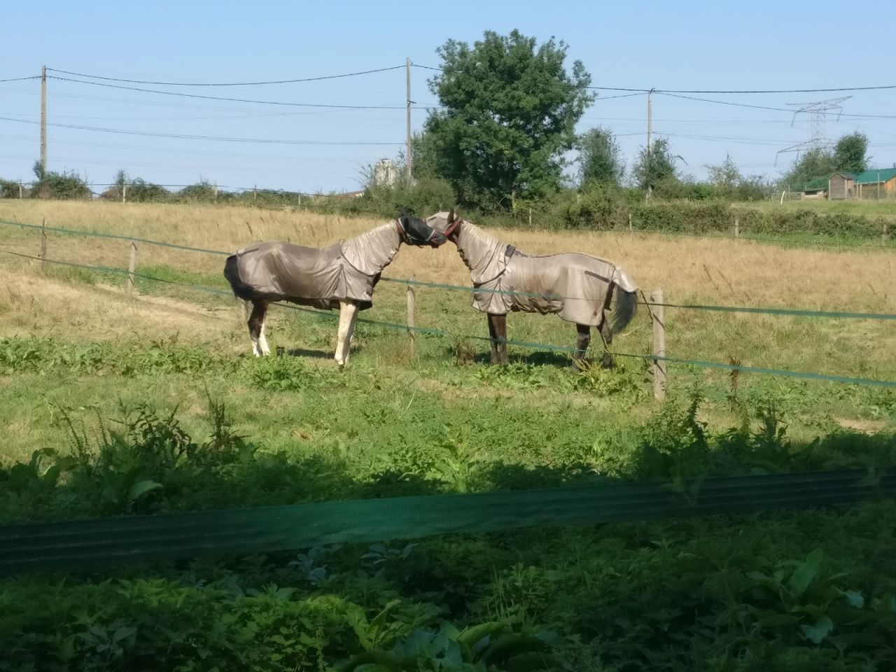 Ecurie privée 40 min de Lyon - cadre exceptionnel
