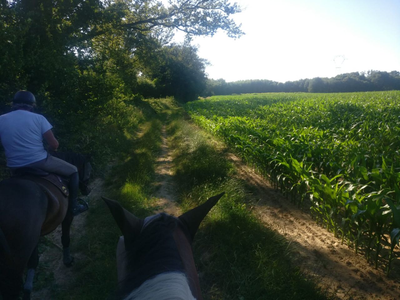 Ecurie privée 40 min de Lyon - cadre exceptionnel