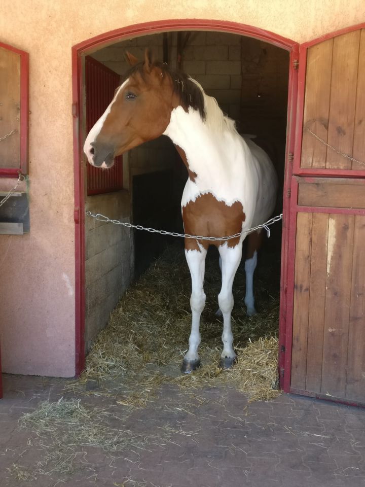 Ecurie privée 40 min de Lyon - cadre exceptionnel
