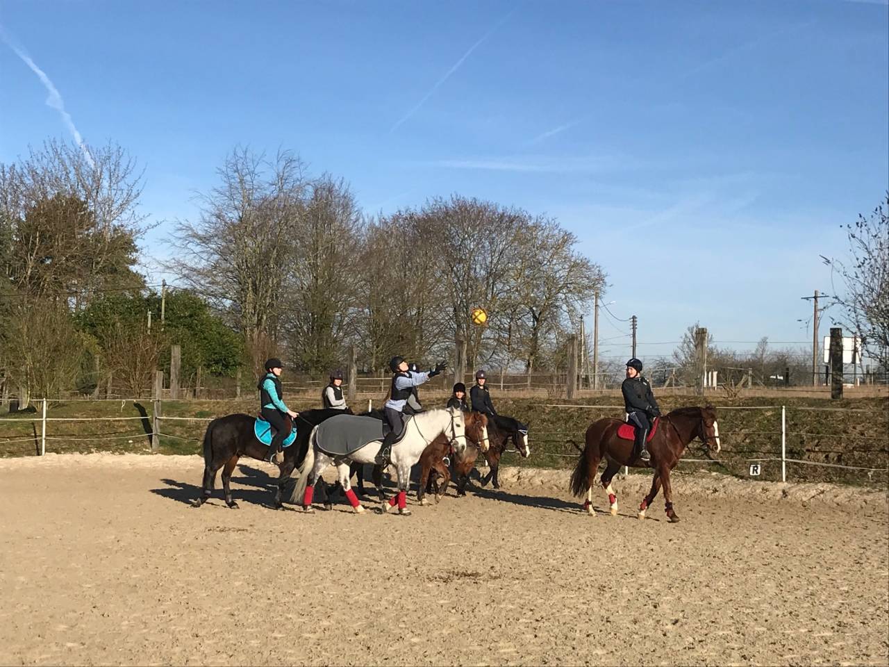 Séjour equestre - centre équestre de Montgareux 77
