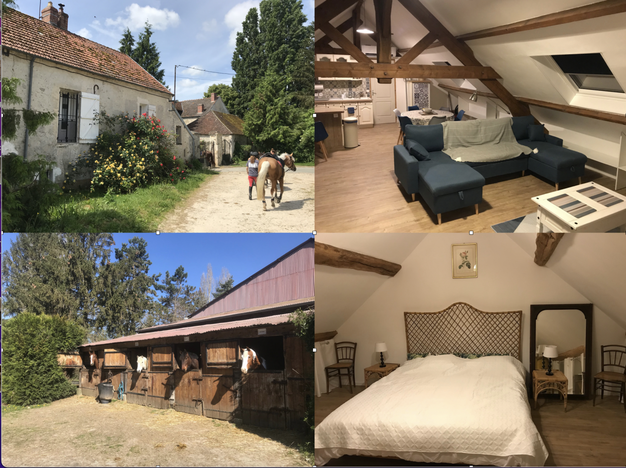 Séjour equestre - centre équestre de Montgareux 77