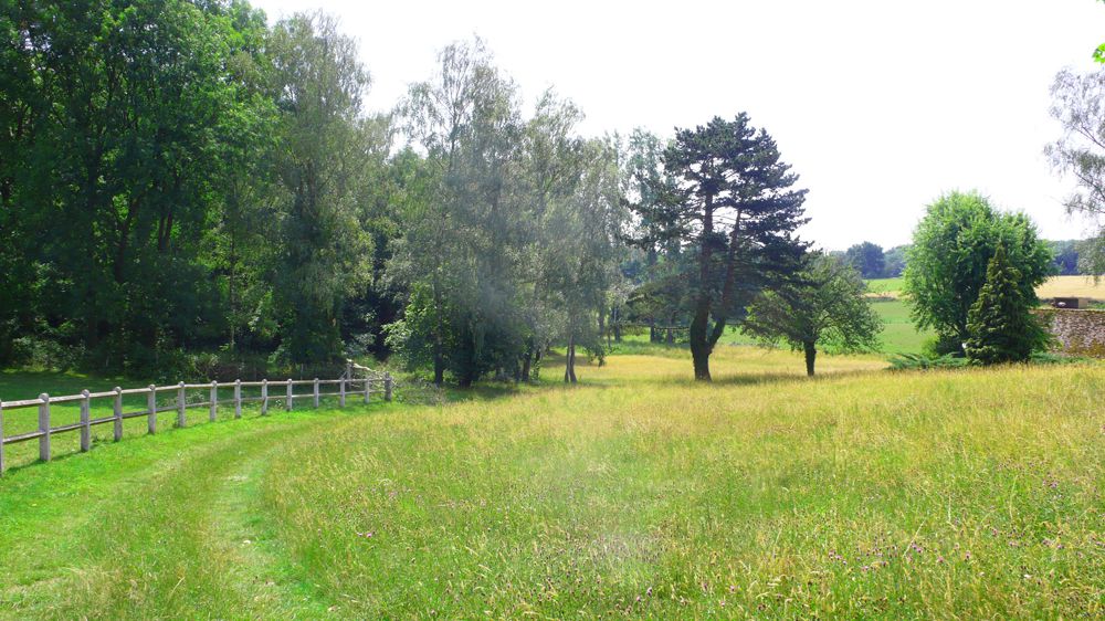 ECURIE DE LA MINIERE - PENSIONS SPORT, LOISIR & ELEVAGE