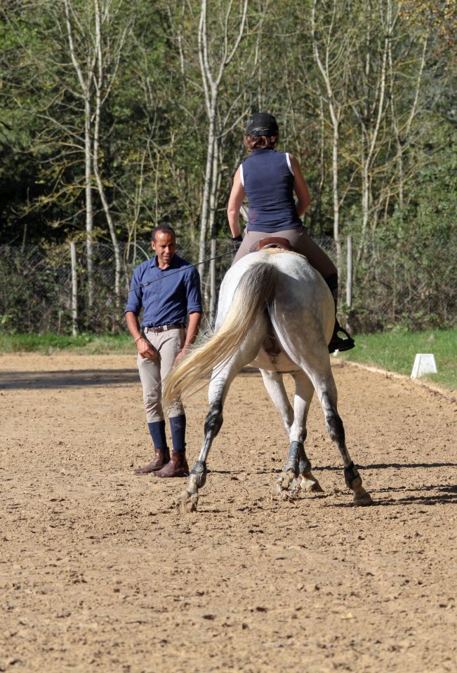 ECURIE DE LA MINIERE - PENSIONS SPORT, LOISIR & ELEVAGE