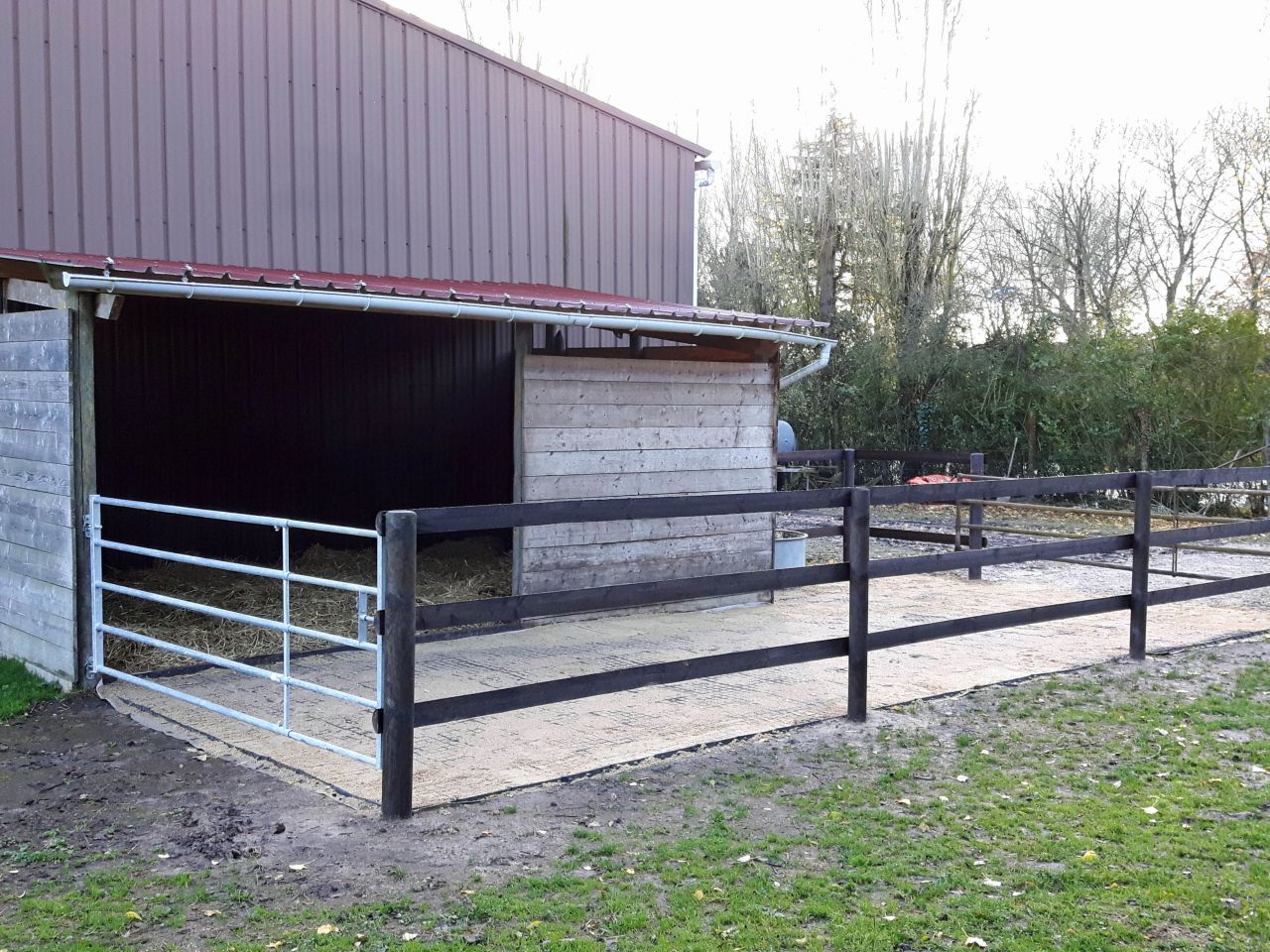 ECURIE DE LA MINIERE - PENSIONS SPORT, LOISIR & ELEVAGE