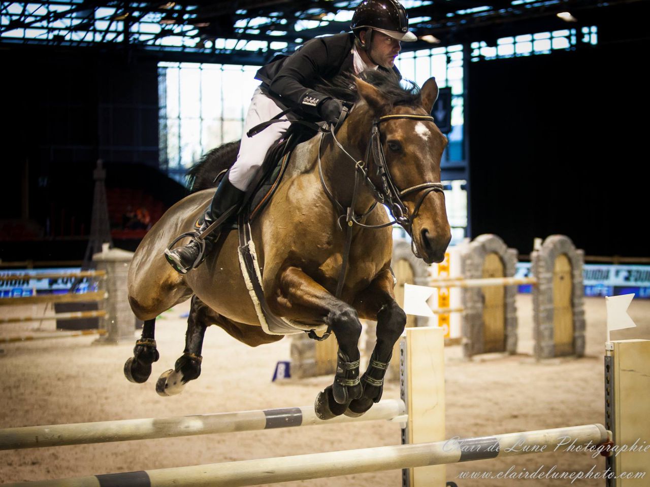 Photographe professionnelle