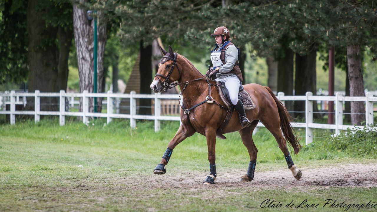 Photographe professionnelle