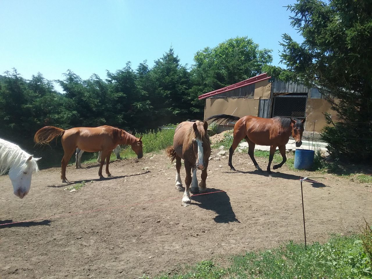 PENSION -TRAVAIL-DEBOURRAGE