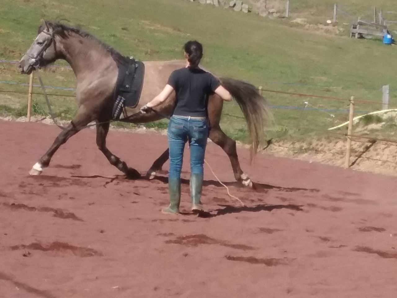 PENSION -TRAVAIL-DEBOURRAGE