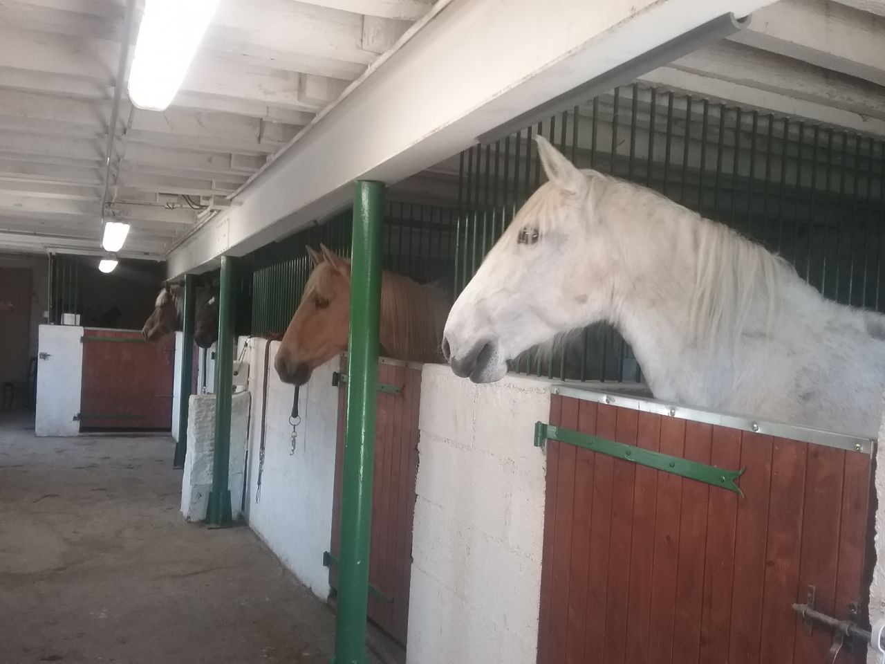 PENSION -TRAVAIL-DEBOURRAGE