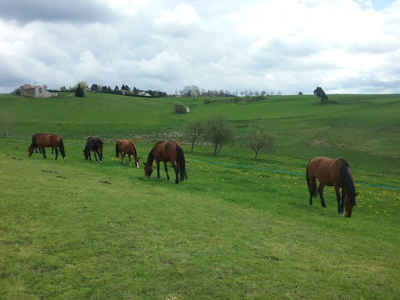 PENSION -TRAVAIL-DEBOURRAGE