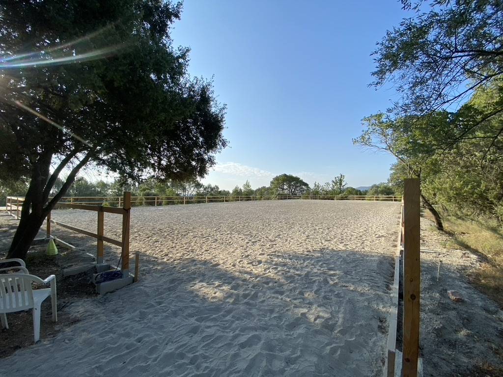 Pensions chevaux Var