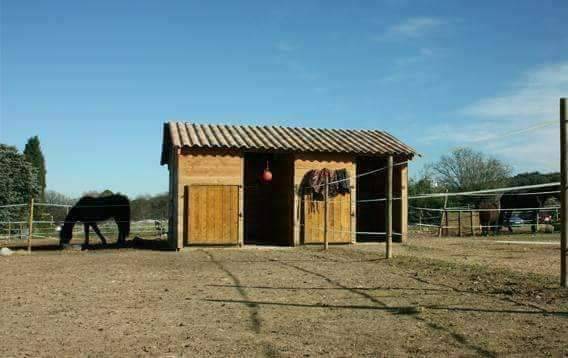 Pension chevaux la barque (  fuveau )
