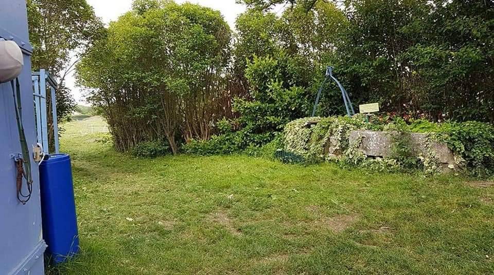 Pension chevaux la barque (  fuveau )